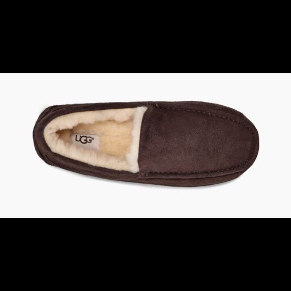 UGG Men's Ascot Slipper - Picture 4 of 8